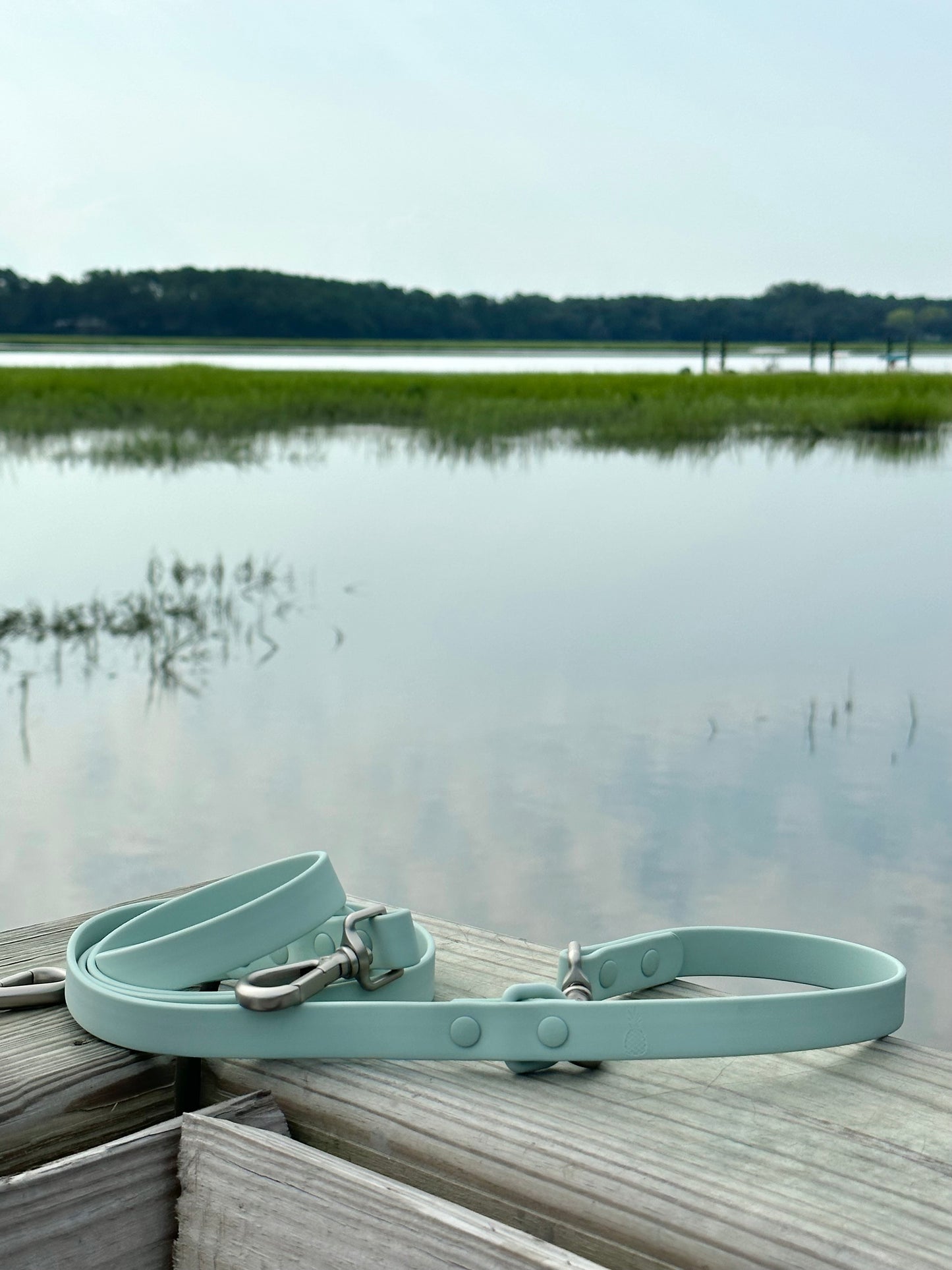 All-Weather Leash: Sea Mist