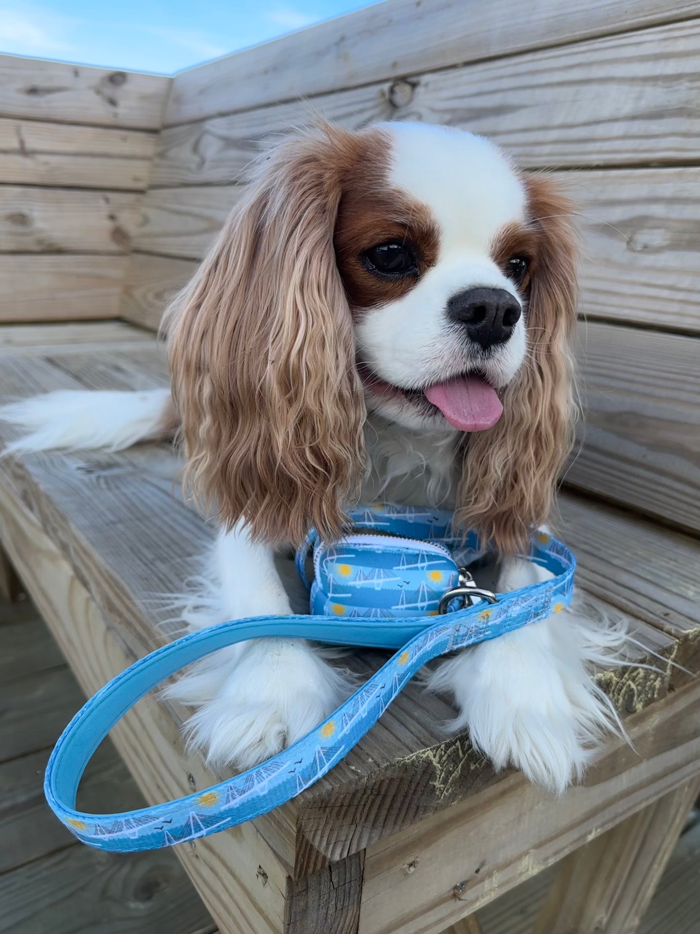 Ravenel Bridge Waste Bag Holder