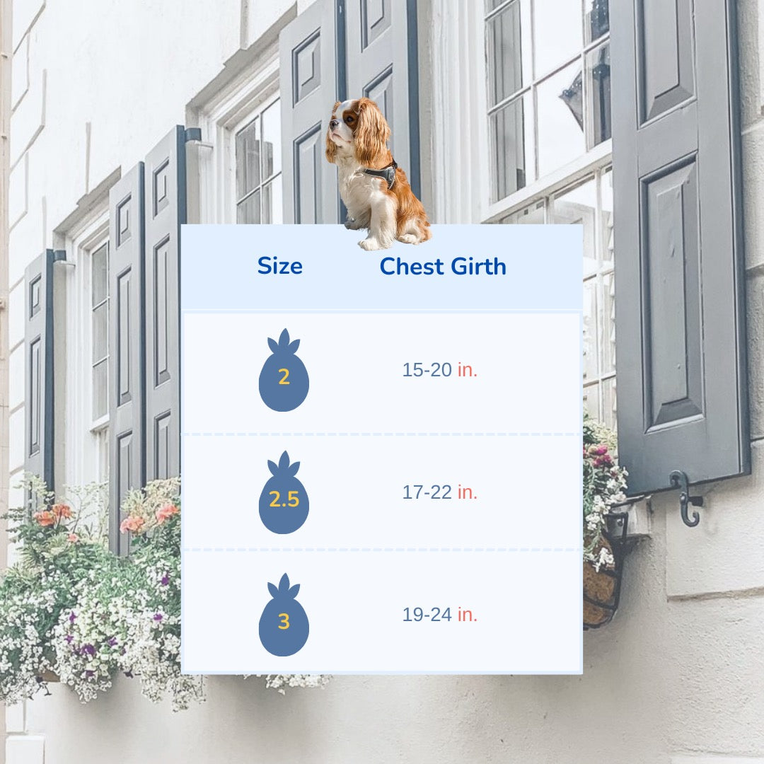 Tre Ponti Adjustable Harness - Blue