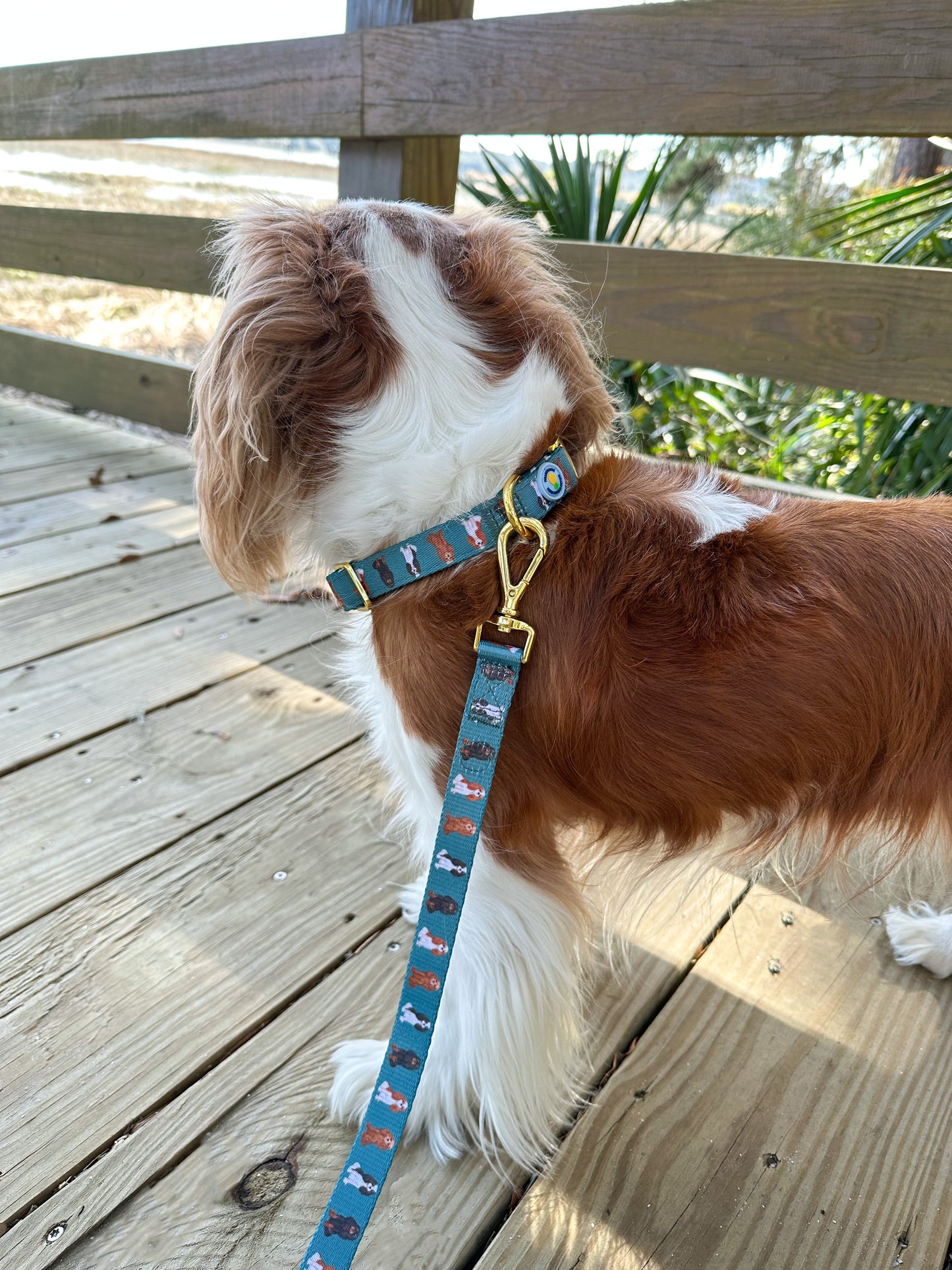 Cavalier Leash - Green