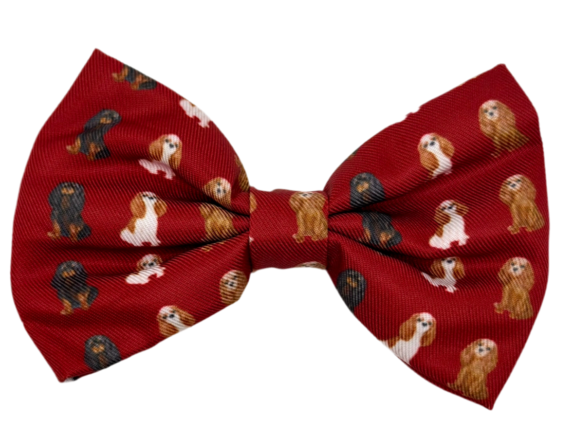 Red Cavalier Bow Tie