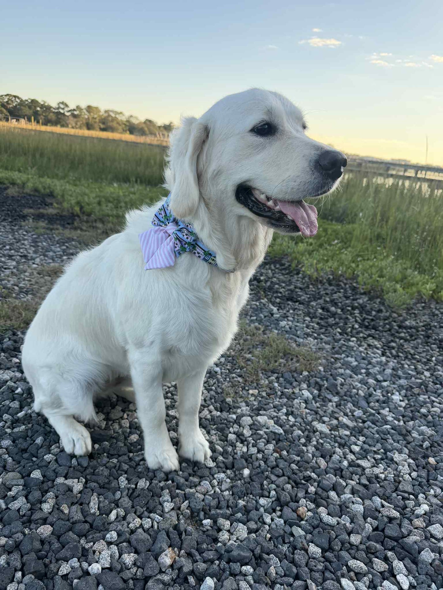 Rainbow Row Sailor Bow Tie