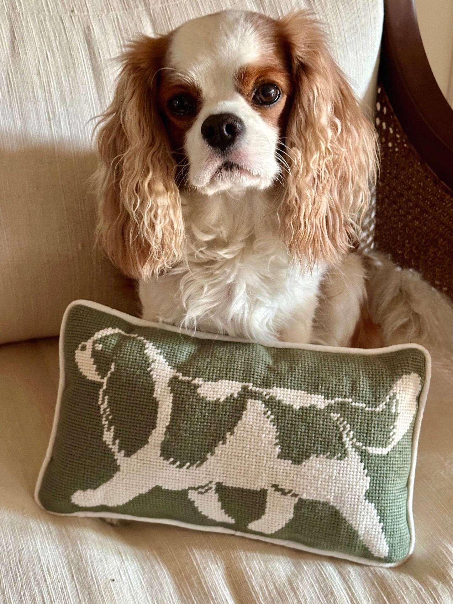 Cavalier Pillow