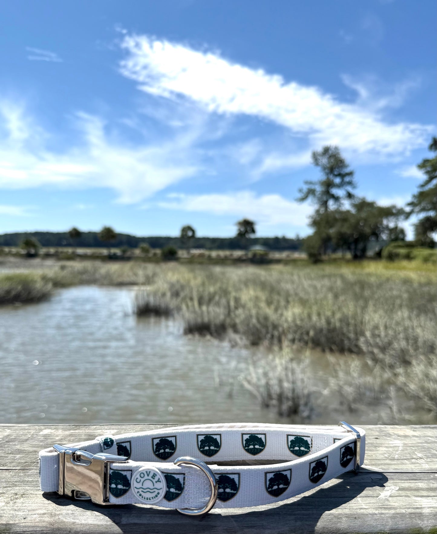 Oldfield Dog Collar