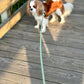 All-Weather Long Line Leash: Sea Green