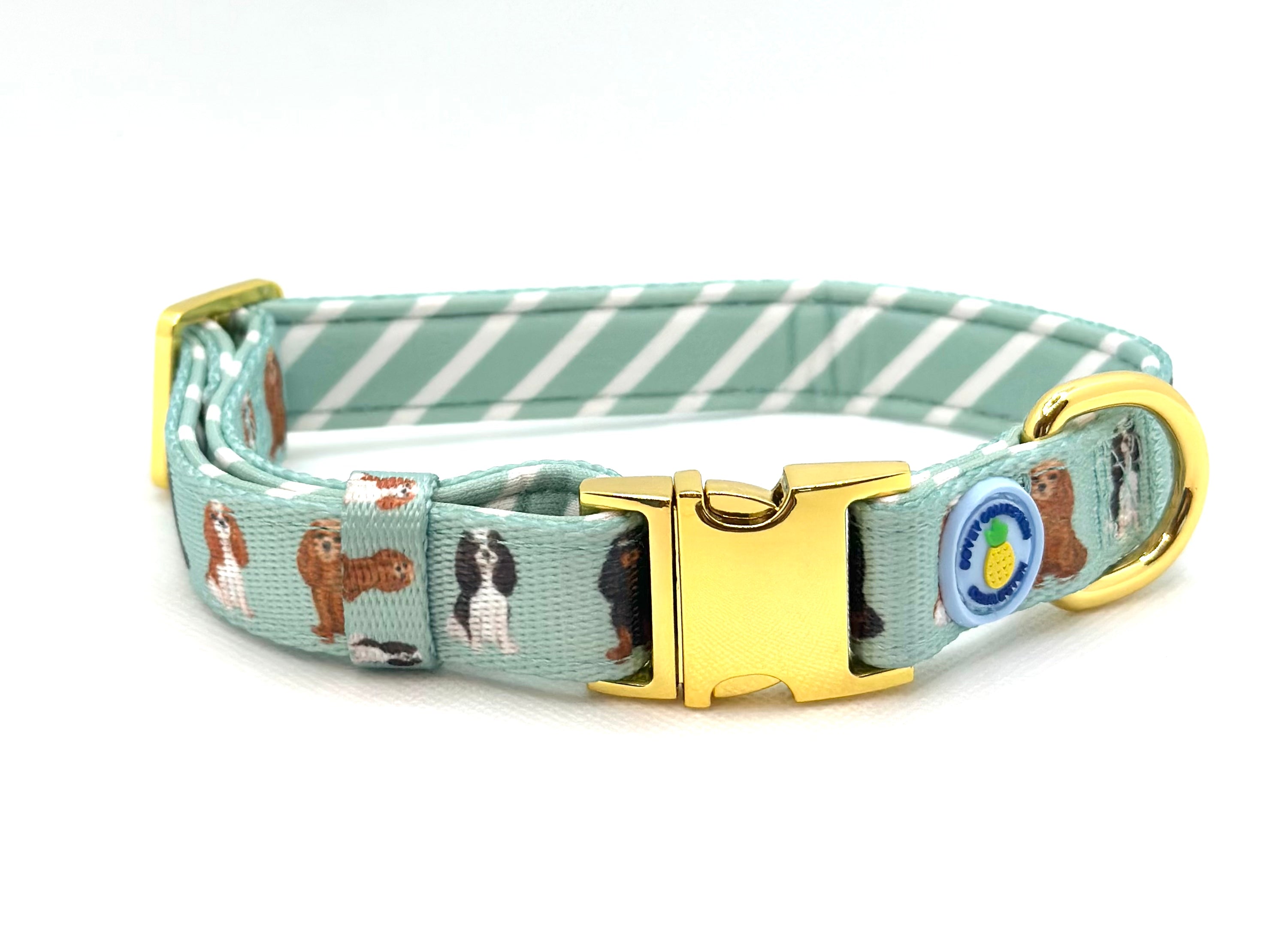 Mint green dog collar best sale