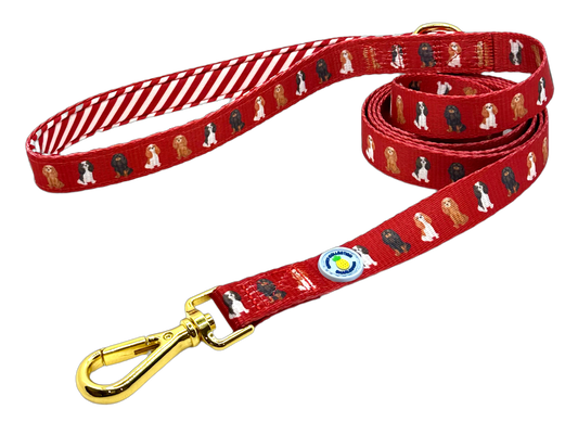 Cavalier Leash - Red