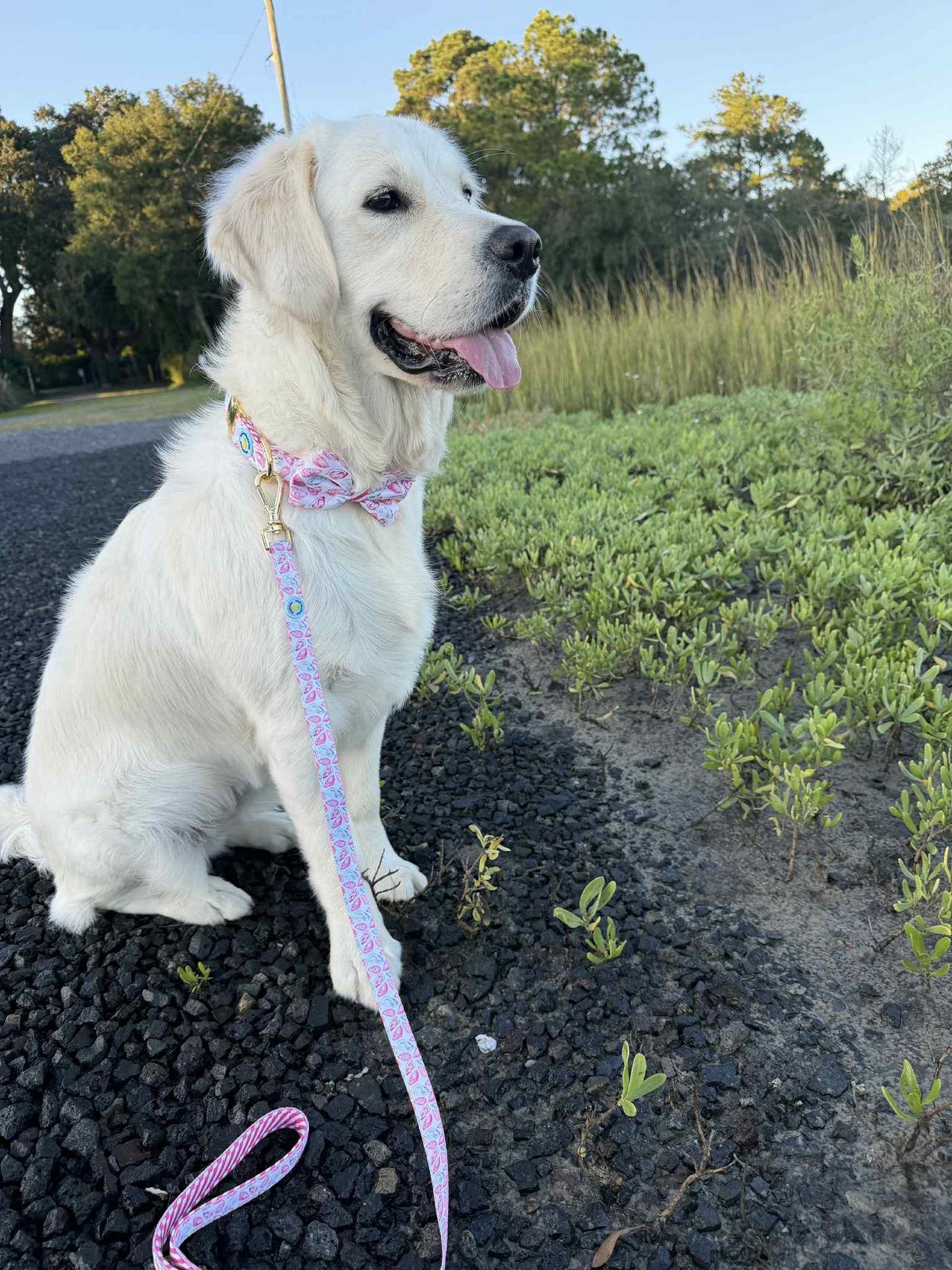 Pink Oyster Leash
