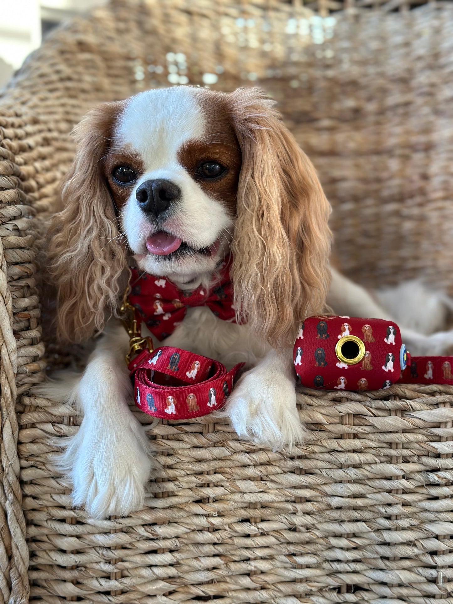 Cavalier Leash - Red