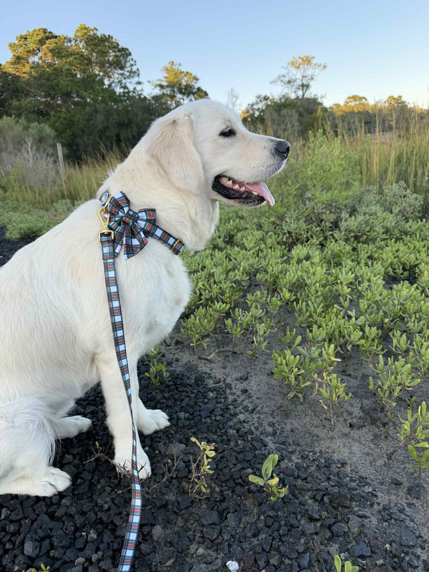 Tartan Sailor Bow Tie