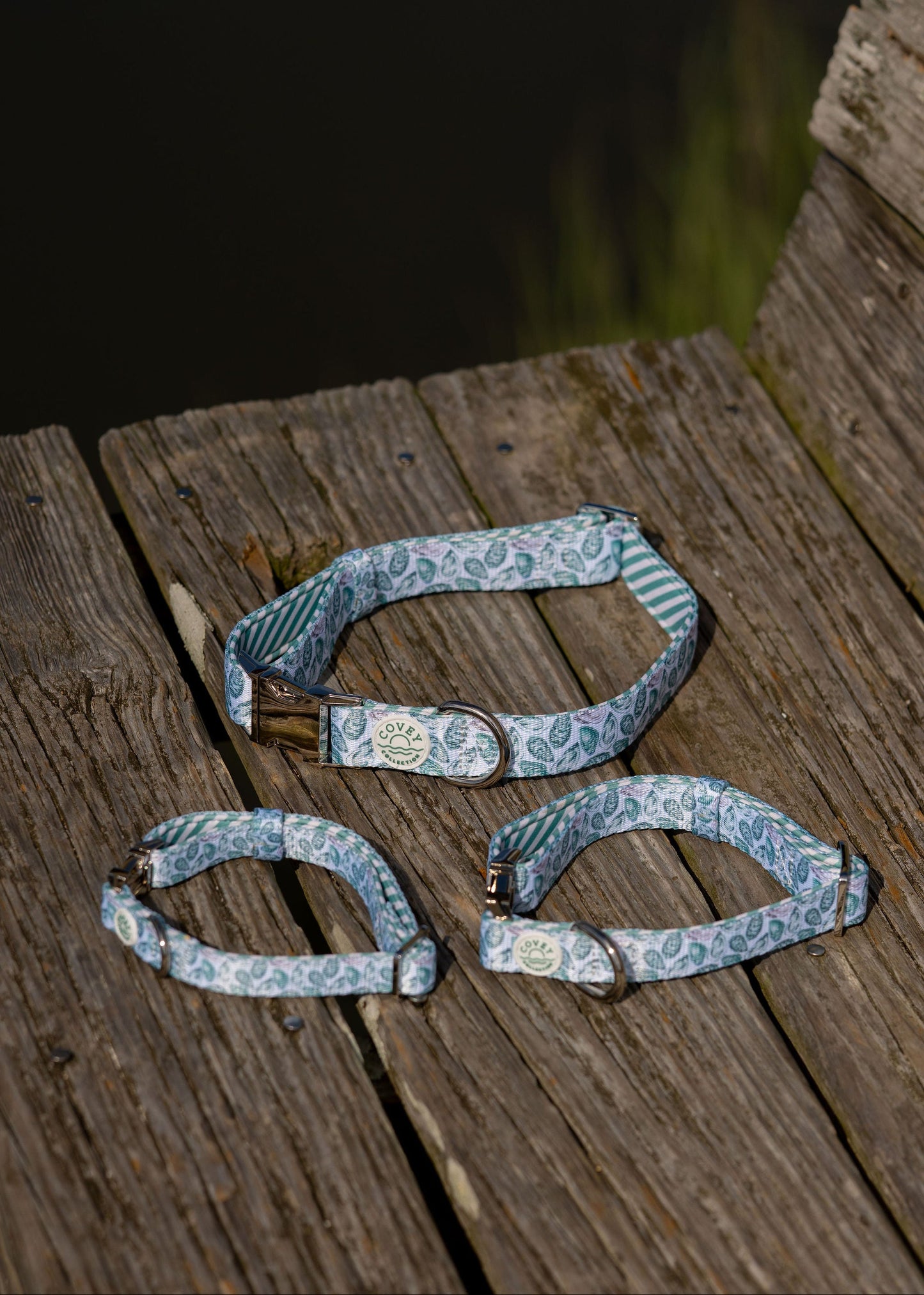 Green Oyster Dog Collar