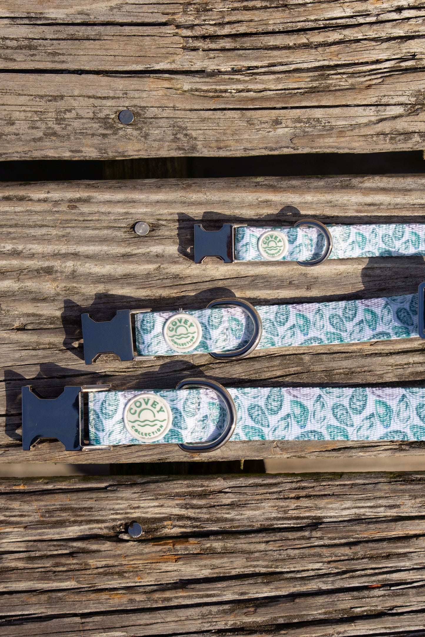 Green Oyster Dog Collar