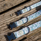 Green Oyster Dog Collar