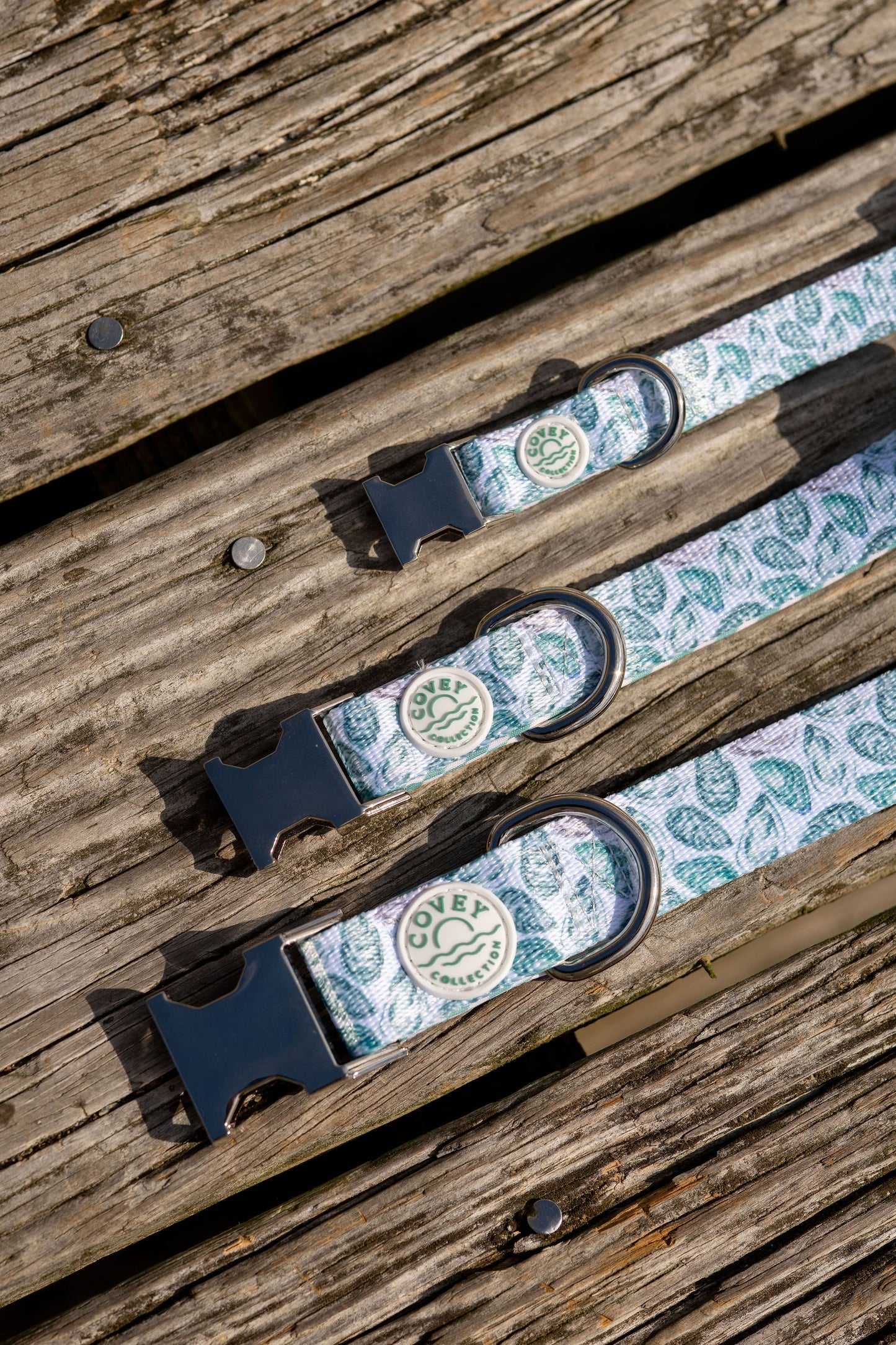 Green Oyster Dog Collar