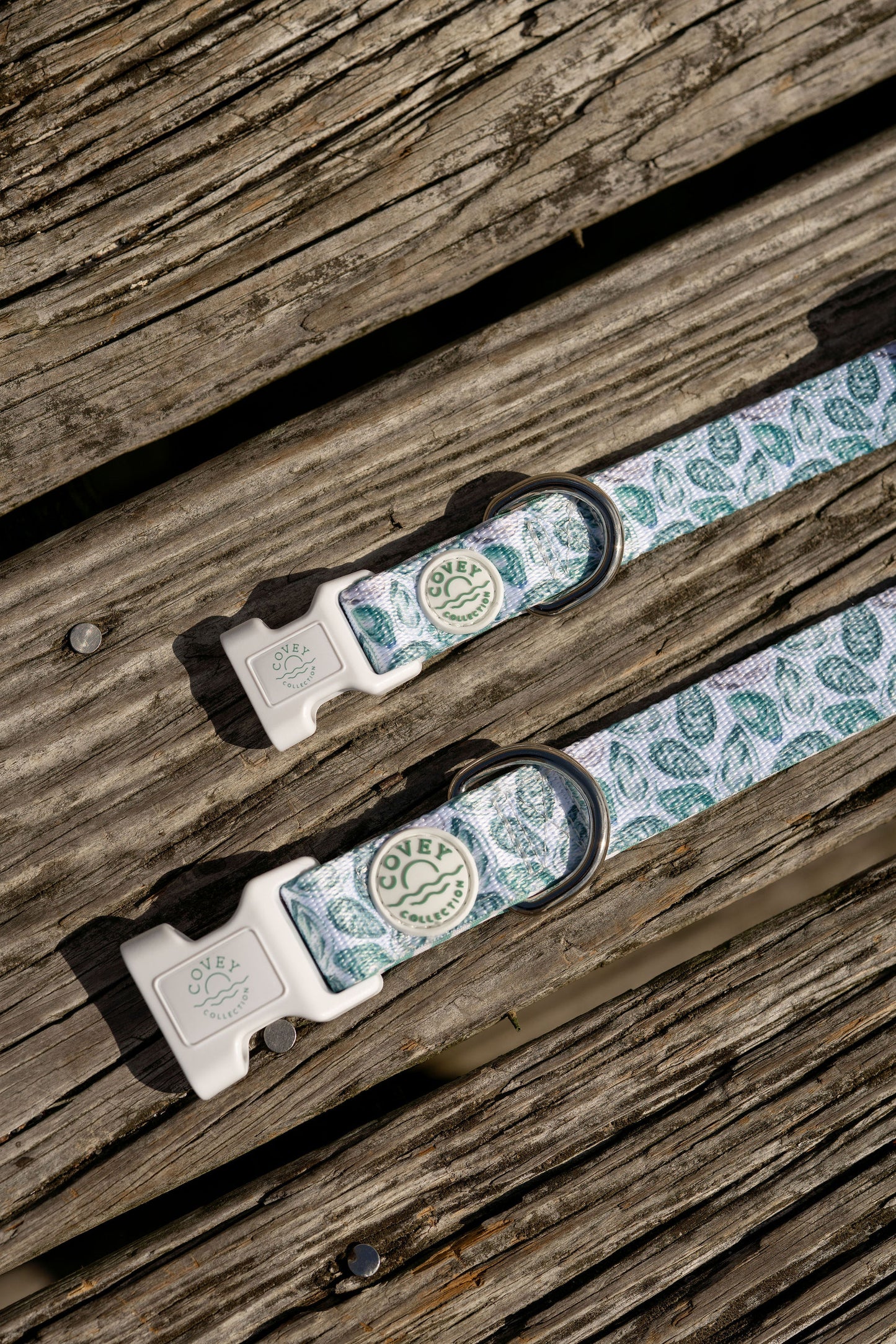 Green Oyster Dog Collar
