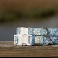 Green Oyster Dog Collar
