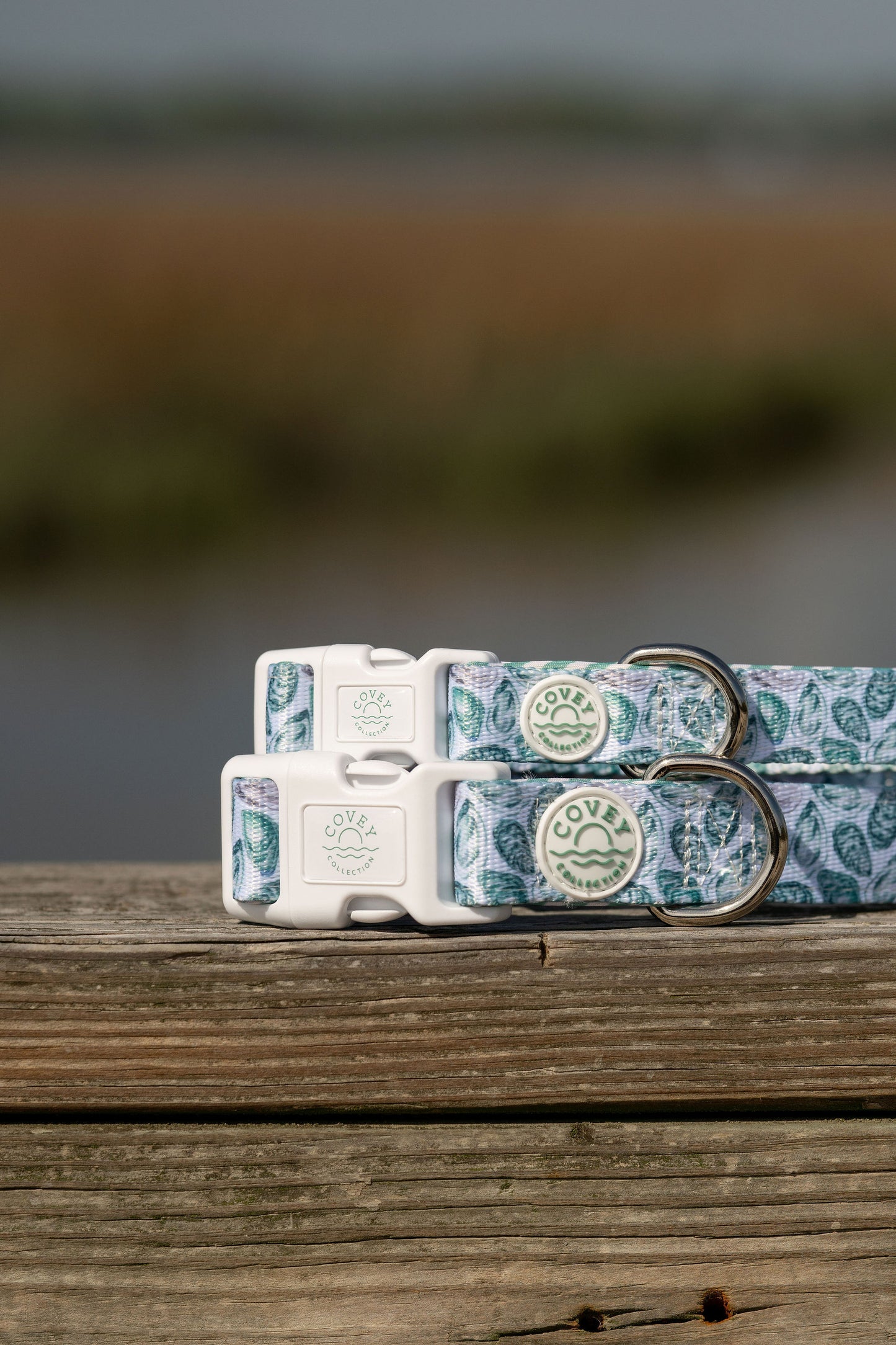 Green Oyster Dog Collar