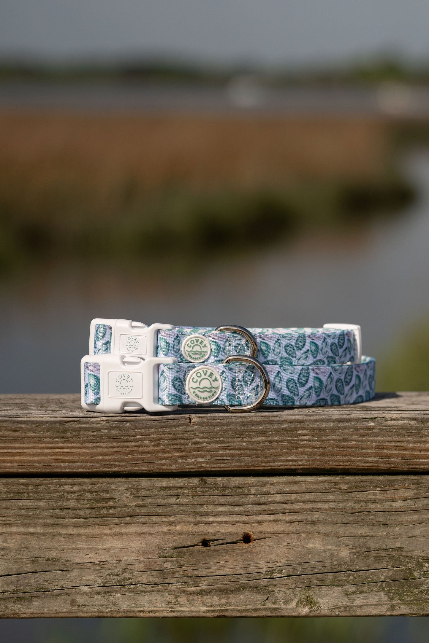 Green Oyster Dog Collar