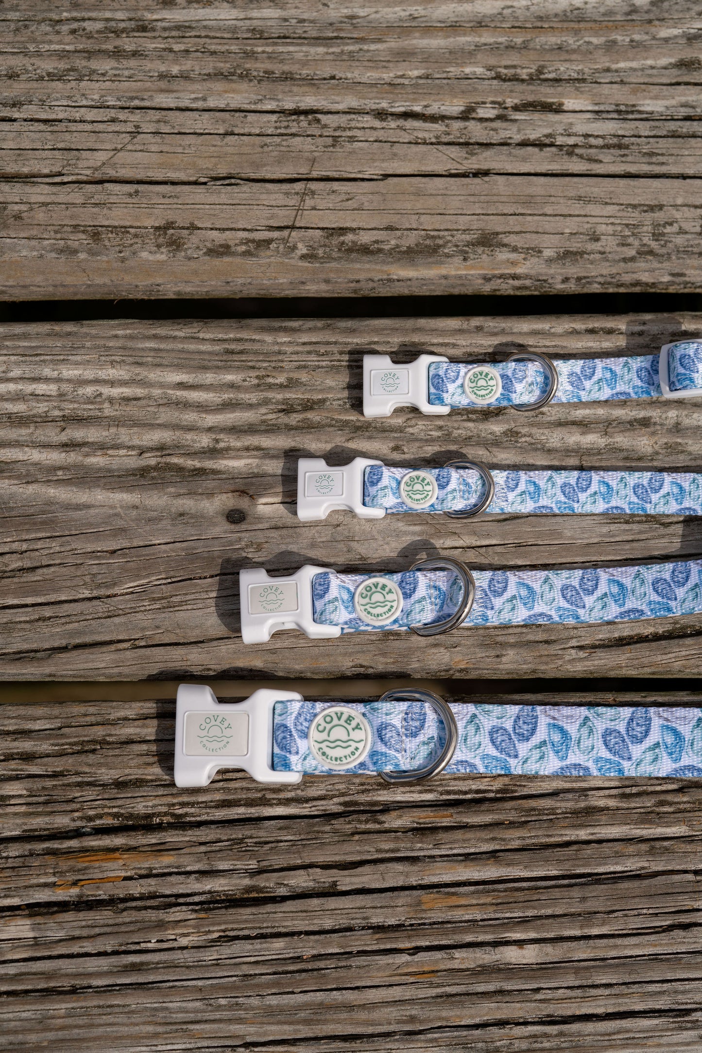 Blue Oyster Dog Collar