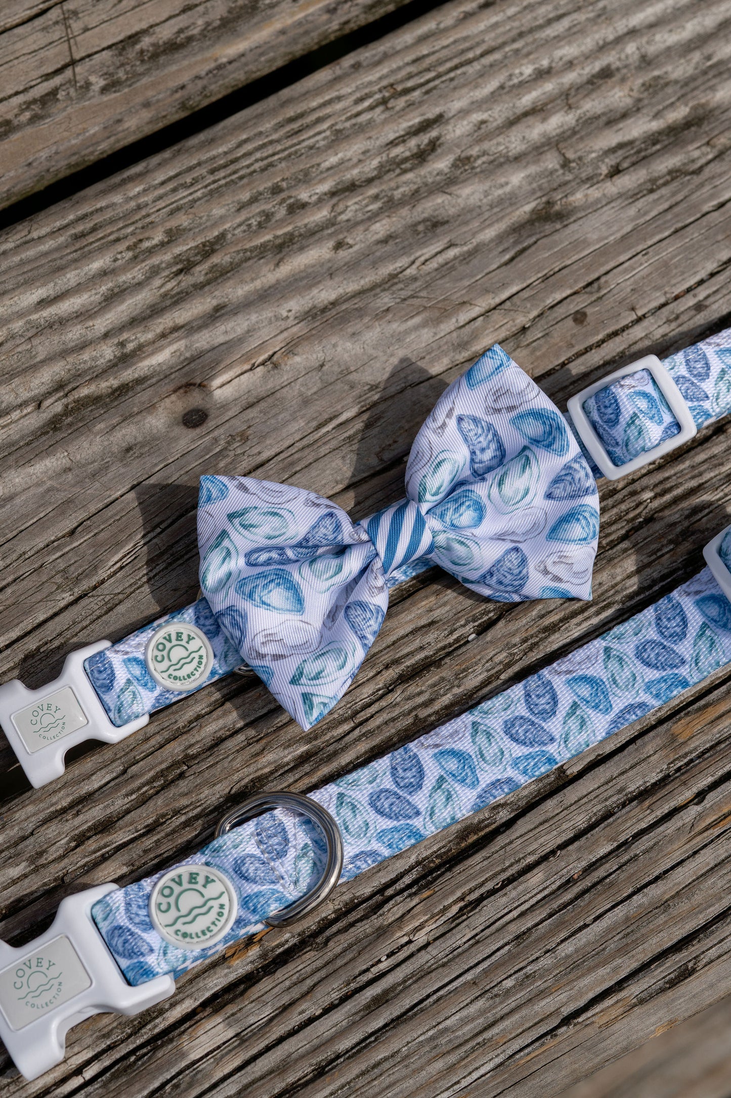 Blue Oyster Dog Collar
