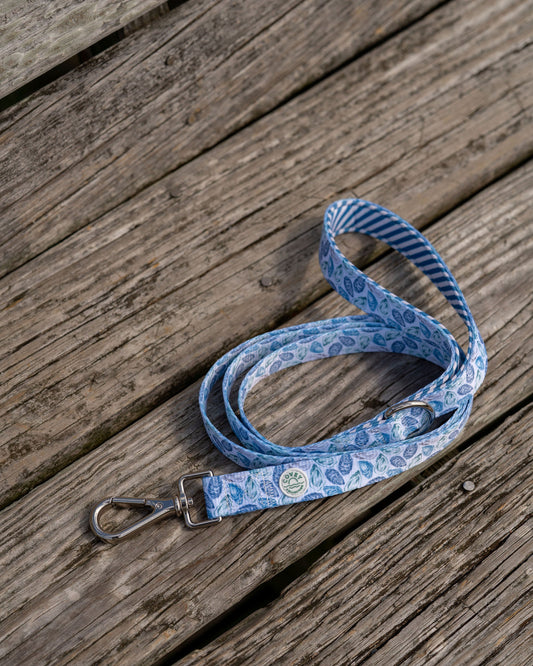 Blue Oyster Leash