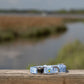 Blue Oyster Dog Collar