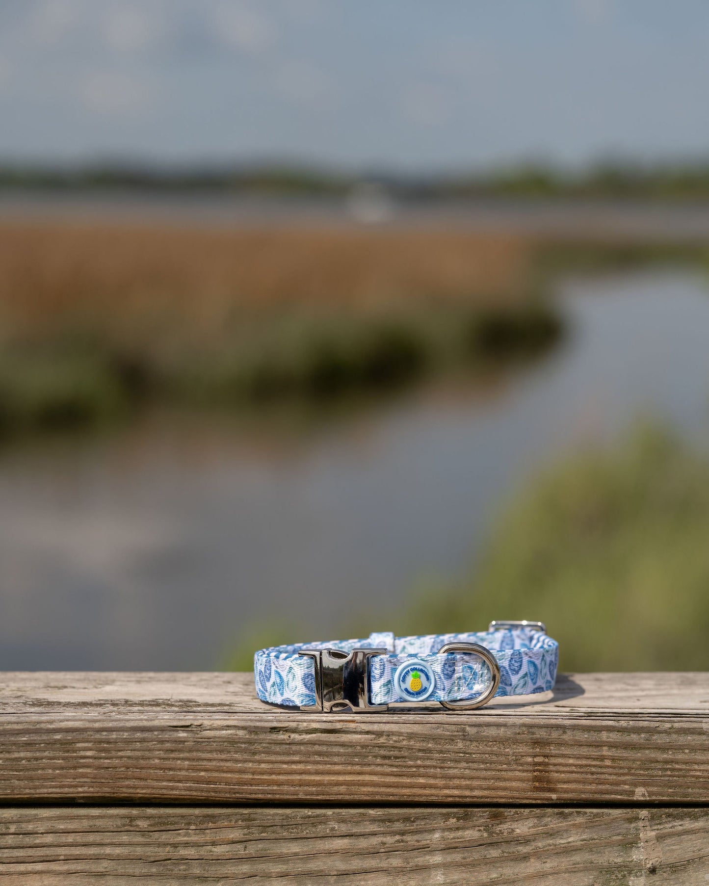Blue Oyster Dog Collar