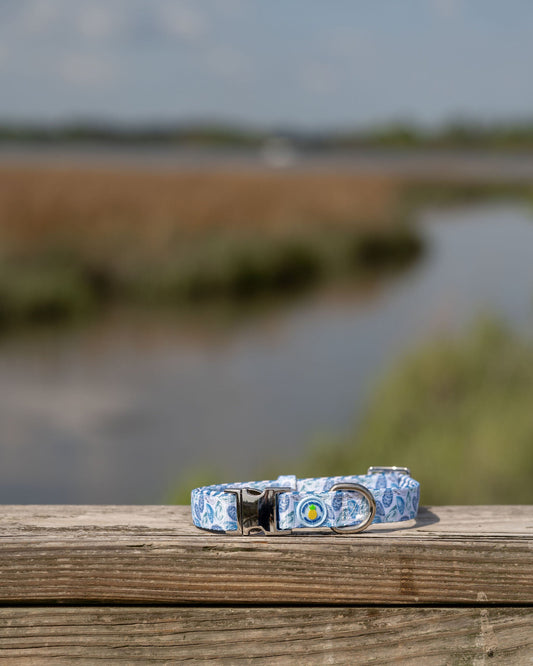 Blue Oyster Dog Collar