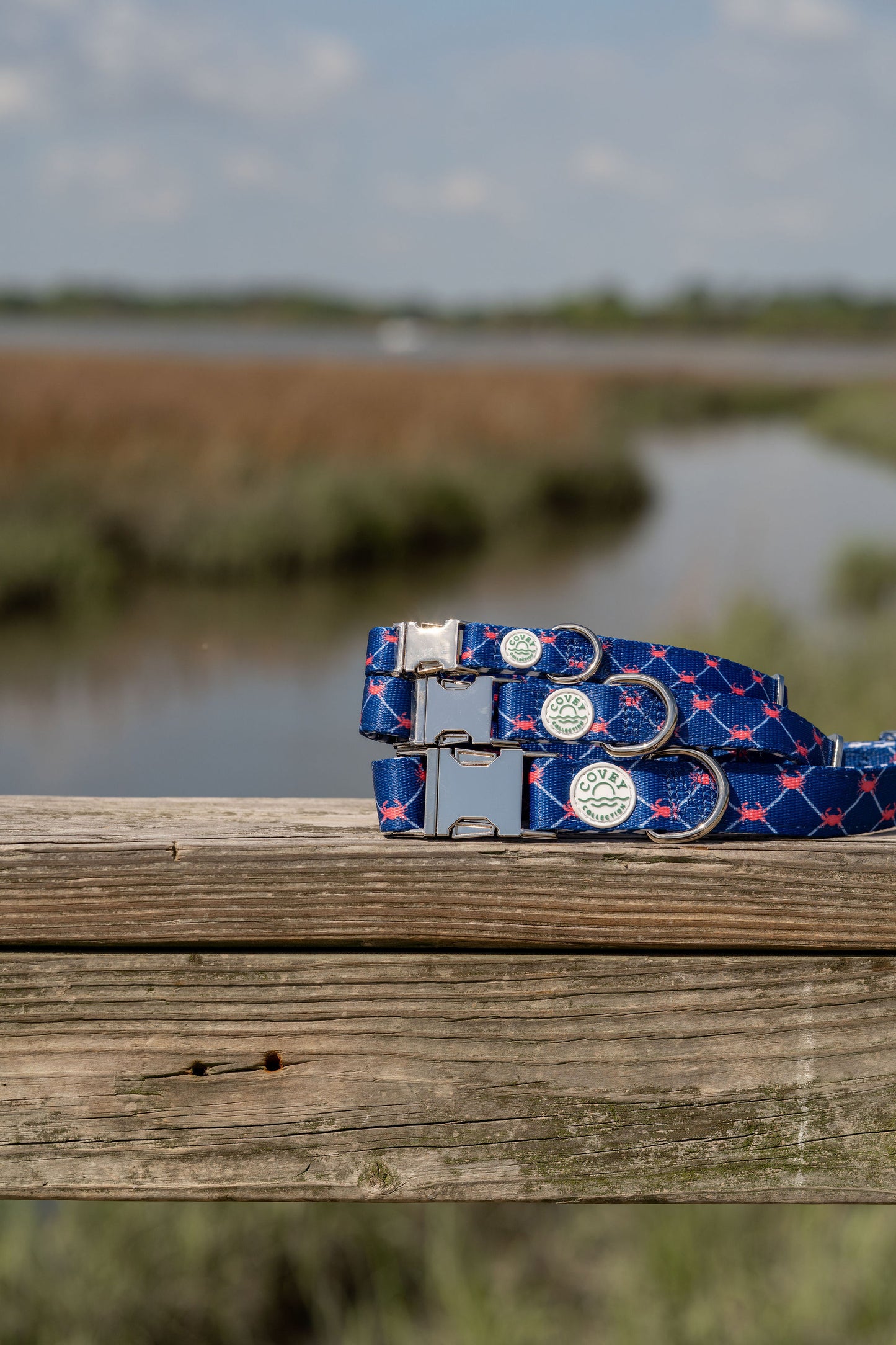 Coastal Crab Dog Collar