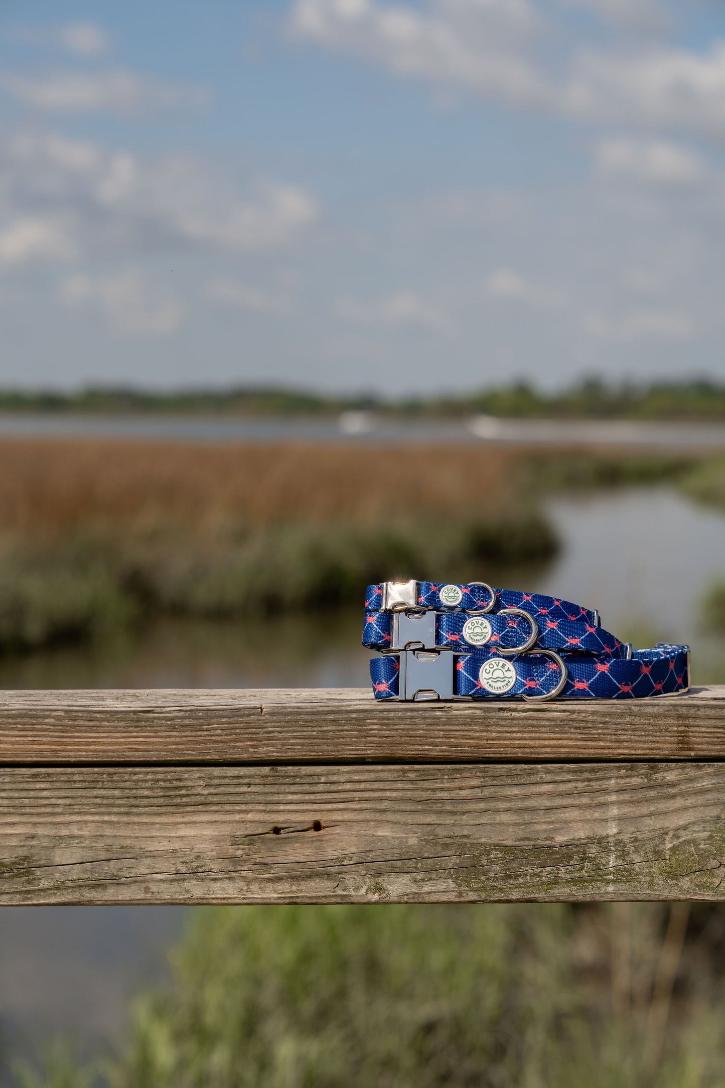 Coastal Crab Dog Collar