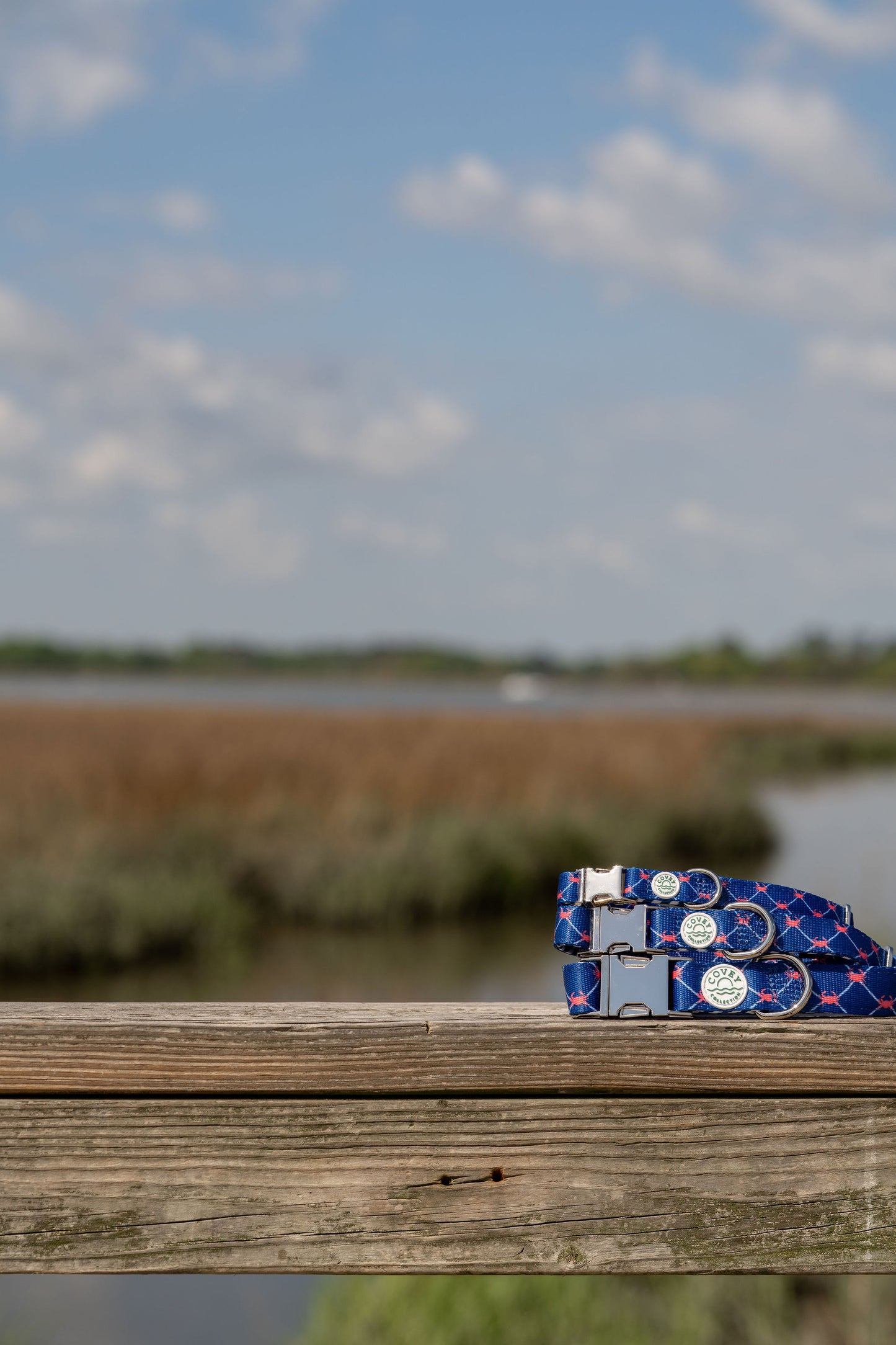 Coastal Crab Dog Collar