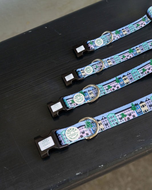Rainbow Row Dog Collar
