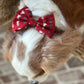 Red Cavalier Bow Tie