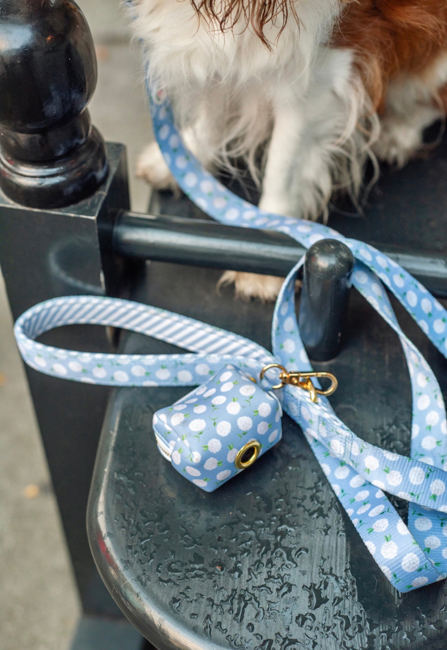 Hydrangea Leash - White