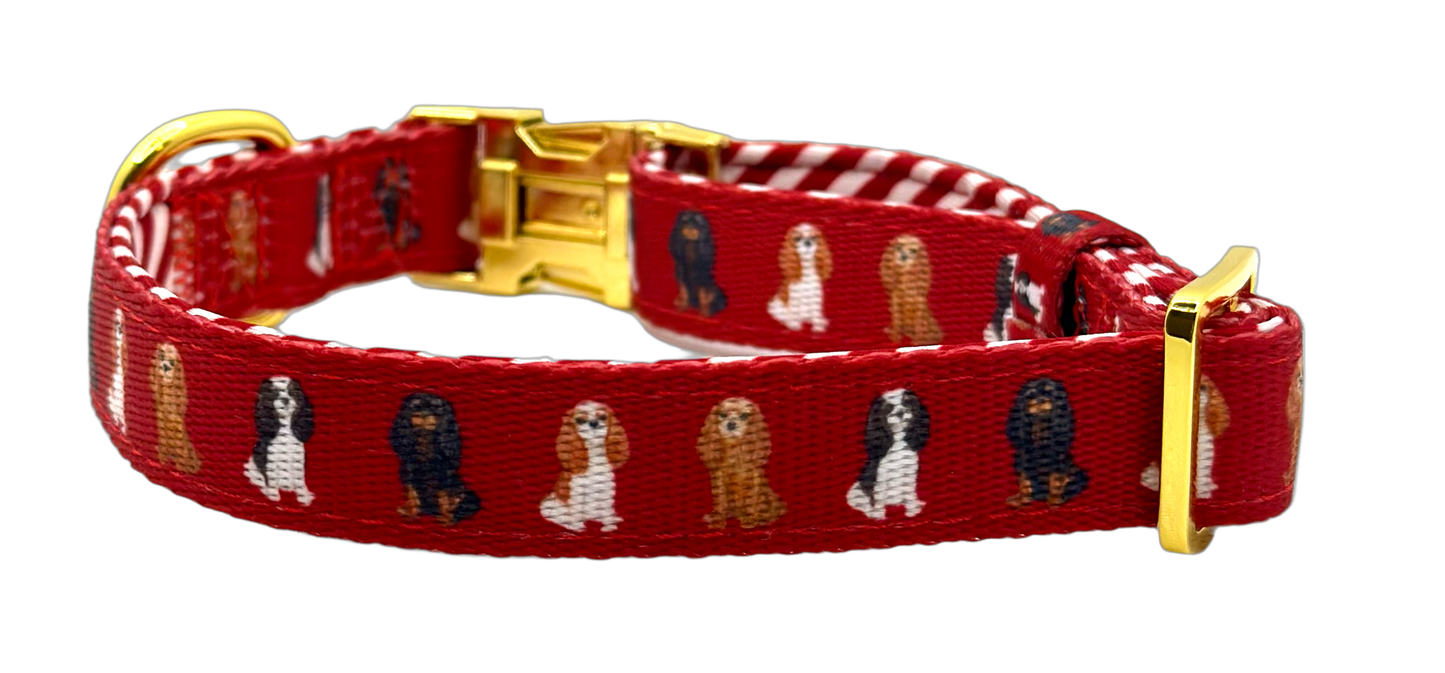 Cavalier Dog Collar - Red