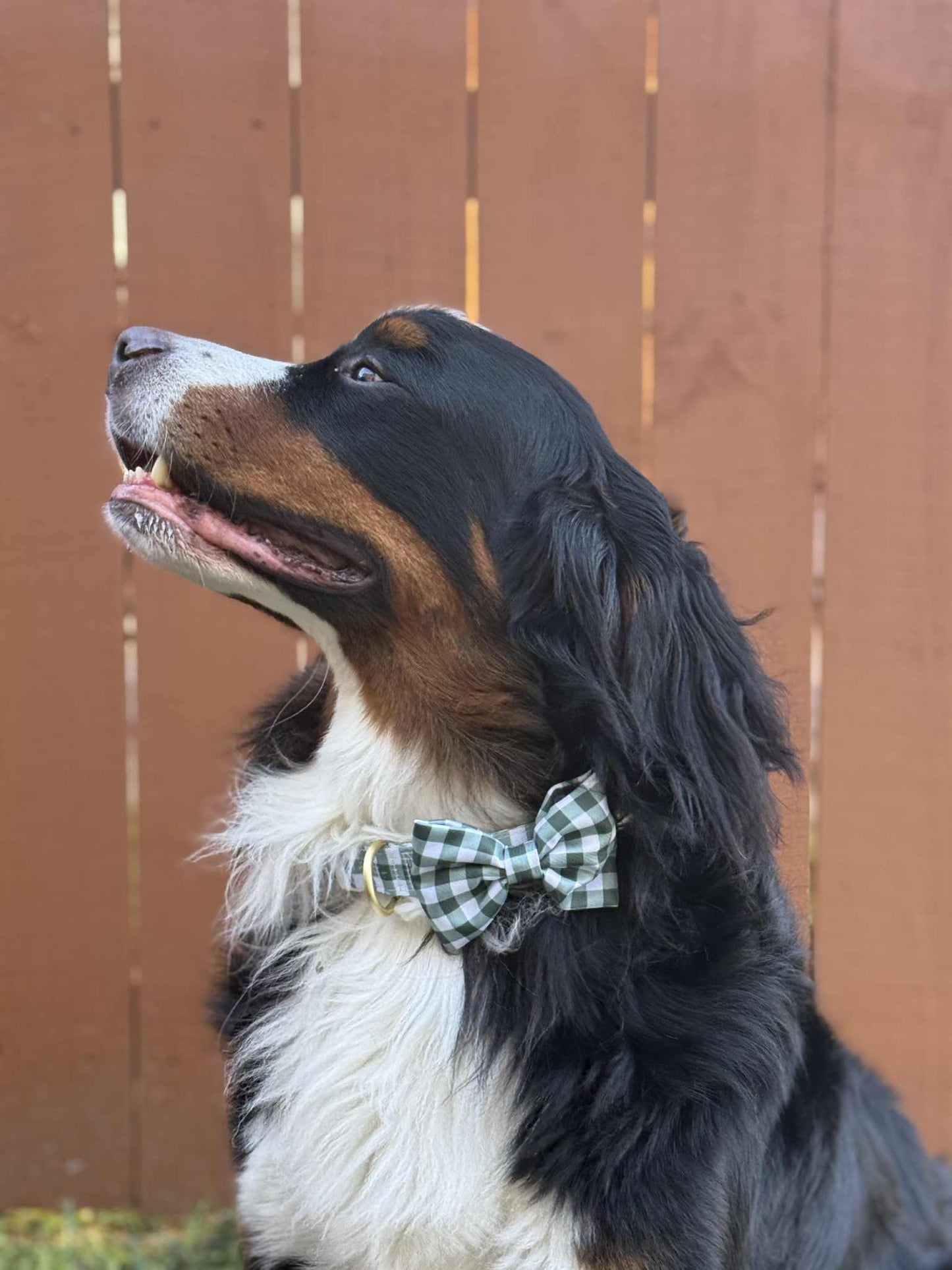 Green Gingham Bow Tie