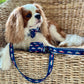 Home for the Holidays Leash