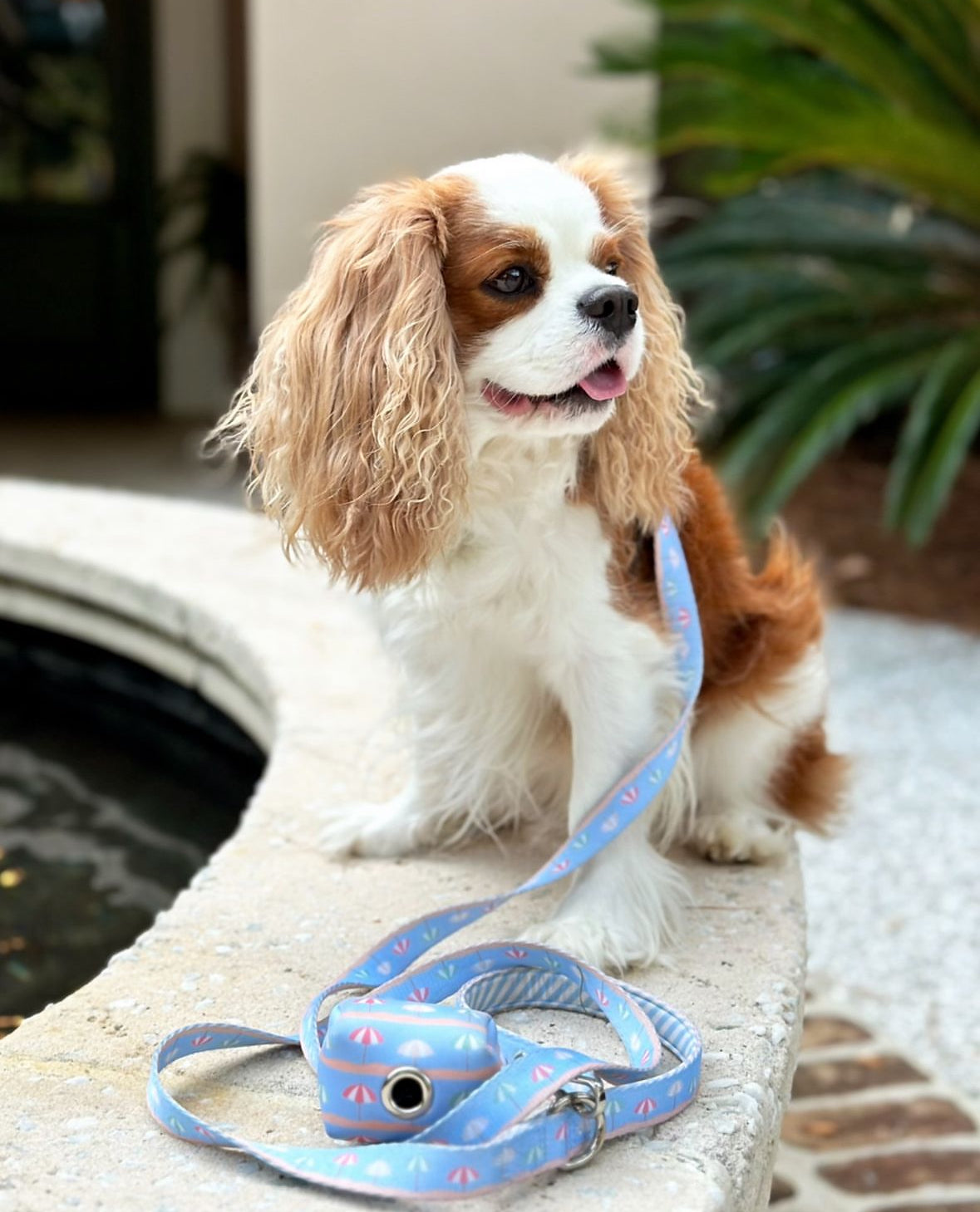 Sunshade Waste Bag Holder