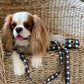 Tartan Leash