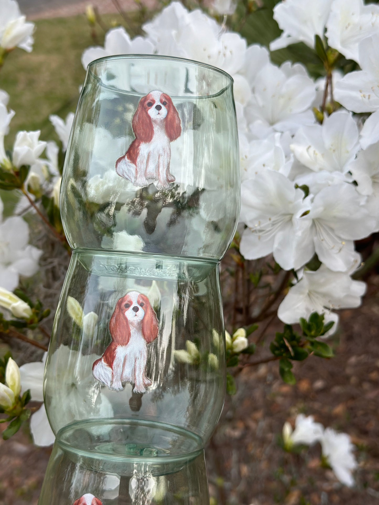 Blenheim Cavalier Shatterproof Wine Glasses - Color Set