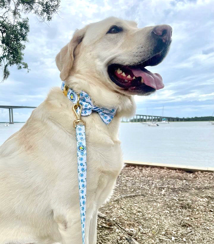 Hydrangea Leash - Blue