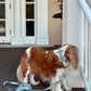 Green Gingham Leash