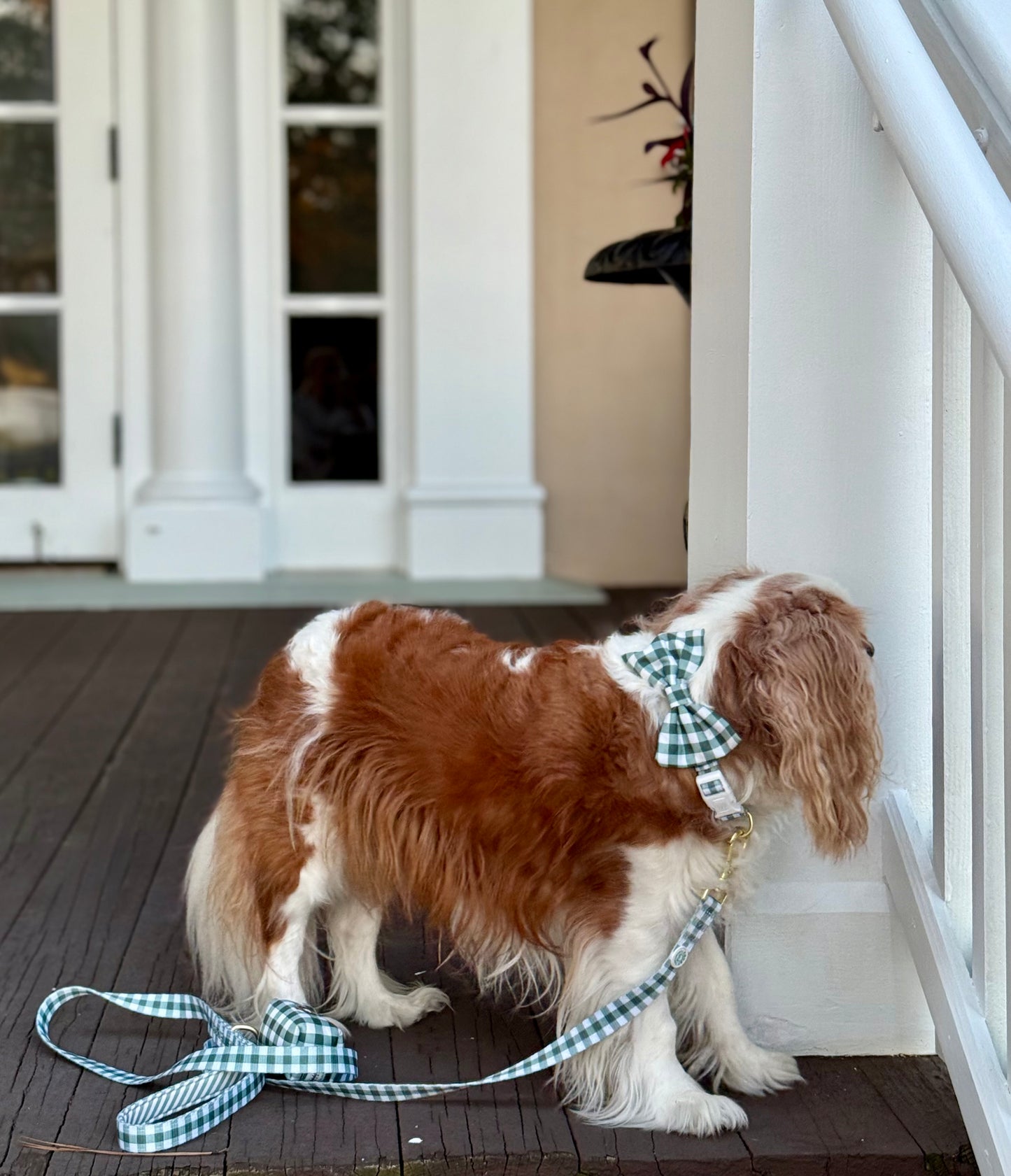 Green Gingham Leash