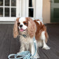 Green Gingham Leash