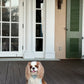 Green Gingham Dog Collar