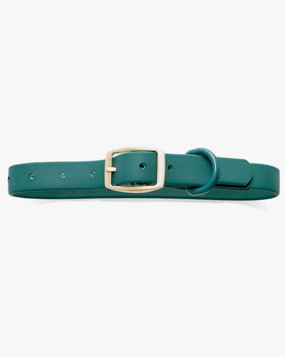 All-Weather Collar: Shoreline Pine