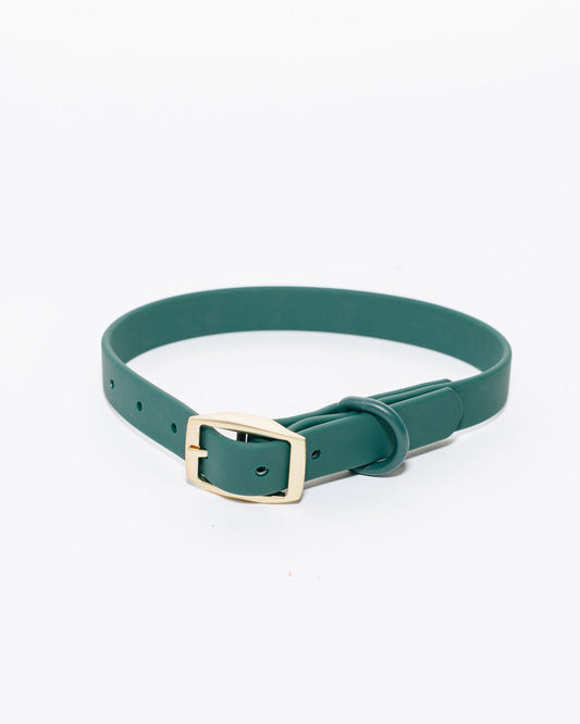 All-Weather Collar: Shoreline Pine
